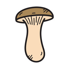 Porcini Mushroom Vector Doodle Illustration