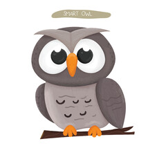 cute owl watercolor vector