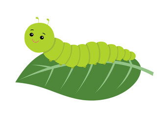 Cute cartoon caterpillar on green leaf. Green worm vector.
