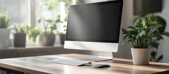 Fototapeta premium Modern workspace with computer, keyboard, mouse and potted plant on a wooden desk.
