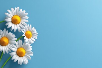 Single daisy in the corner of the gift card, with a clean, empty background and soft shadows creating a minimalist yet charming floral design