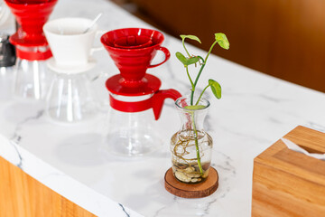 Stylish Coffee Setup with Plant on Marble Counter top