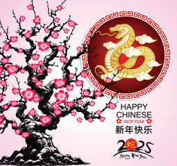 Happy Chinese new year 2025 Zodiac sign, year of the Snake.