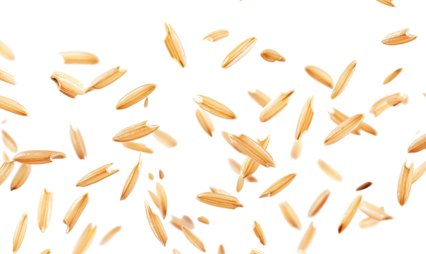  Fresh long brown rice, uncooked and hulled falling on transparent background