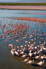 tanzania aerial view of ol doinyo leng