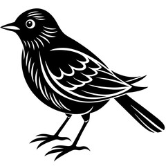 Bird vector 
