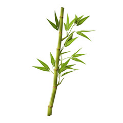 Fototapeta premium A single green bamboo stalk with vibrant leaves displayed against a clean transparent background