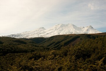 Snowy Mt Ruapehu Landscape