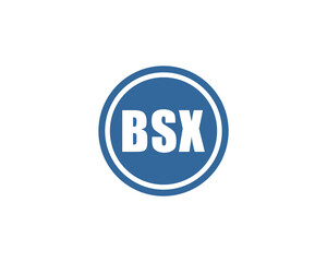 BSX logo design vector template. BSX