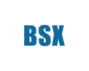 BSX logo design vector template. BSX