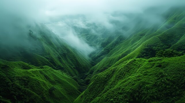 Lush Green Mountains Cloaked in Mist