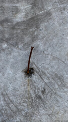A rusty nail was stuck in the wall and had bent, cracking the wall
