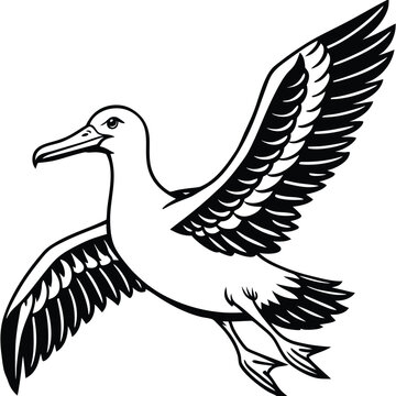 recommend clip art: Cute Albatross Birds Vector Art.