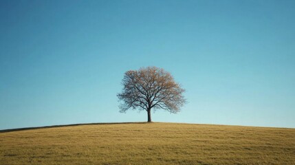 Obraz premium A solitary tree stands majestically on a grassy hill under a clear blue sky, symbolizing tranquility and the beauty of nature.