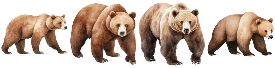 Fototapeta premium Four brown bears of varying sizes walking side by side, showcasing their growth stages and distinct characteristics.