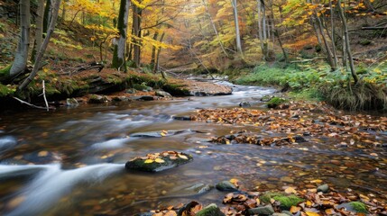 Serene Autumn Stream Surrounded by Colorful Foliage