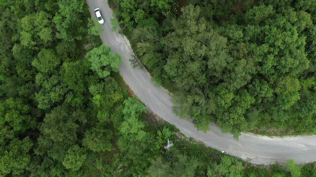Carretera en medio de la vegetaci&oacute;n con motocicletas en alta velocidad y muchos arboles alrededor mucha area verde 