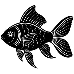 fish on a black background