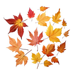 Colorful assortment of autumn leaves arranged in a circular pattern on a clean transparent background