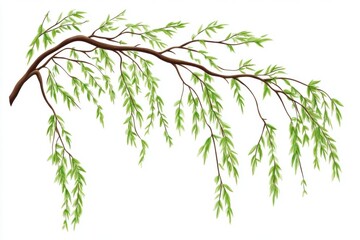 Willow Branch with Green Leaves