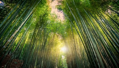 Fototapeta premium The gentle sway of the stalks creates a serene atmosphere. 