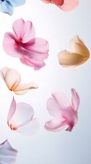 Fototapeta premium Delicate Pastel Flower Petals Floating in Air
