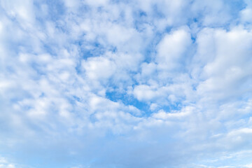 Fototapeta premium blue sky with clouds