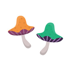 Dangerous Poisonous Mushrooms in Natural Forest Setting