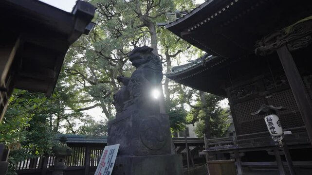 Slow motion video the Leon Stone, Osaka Japon