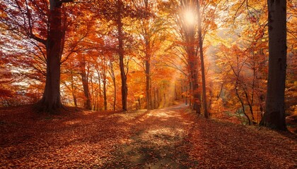 Obraz premium A tapestry of colors creates a stunning backdrop. 