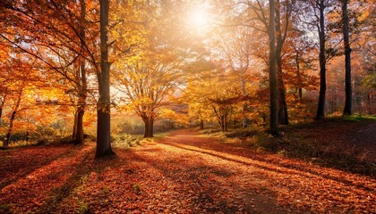 Fototapeta premium A peaceful moment encourages reflection and gratitude. 