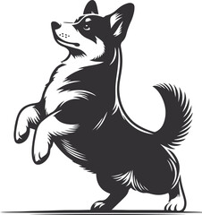 Pembroke Welsh corgi dog silhouette vector design
