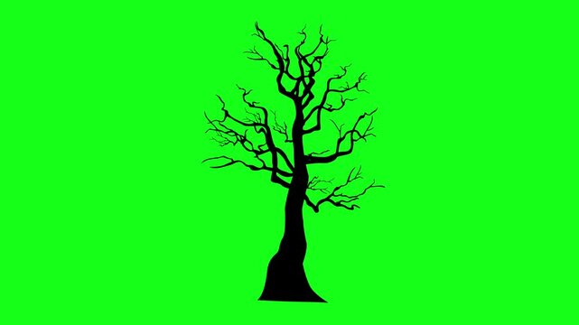 Halloween tree silhouette vector animation on green screen. Halloween, scary, spooky, horror element for editing