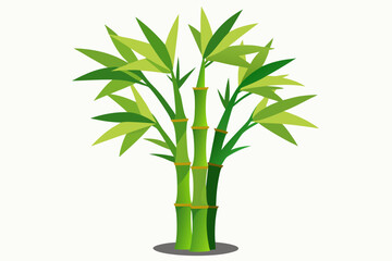 Bamboo stems and leaves on white background illustration