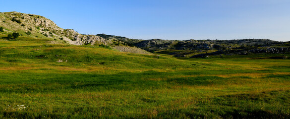 Sumpfgebiet im Naturpark Blidinje, Bosnien-Herzegowina // Wet meadow in the Blidinje Nature Park, Bosnia and Herzegovina