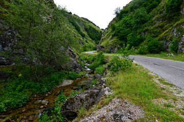 Bach am Wegrand - Crveni Kuk, Dinarische Alpen, Bosnien-Herzegowina // Stream along a road - Crveni...