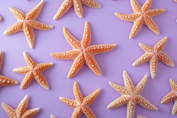 Starfish Pattern on a Purple Background