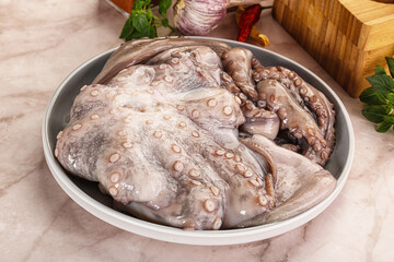 Raw cold octopus for cooking