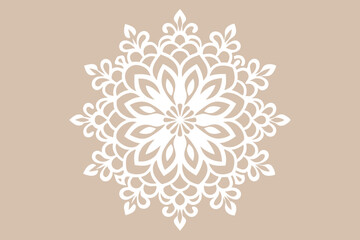 Floral Lace Pattern Vector for Fashion Design
