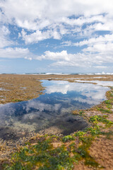 Coastal rock pools with clear sky reflection and distant waves