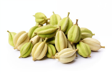 Close-up of green cardamom pods scattered across a white background, highlighting their natural texture and intricate wrinkles with soft shadows.