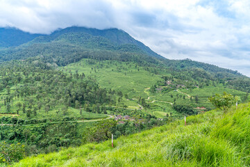 Yellamalai from Gudalur, Tamil Nadu - A Plantation Village in Tamil Nadu Neelagiri District.