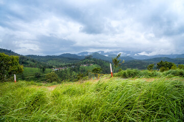 Yellamalai from Gudalur, Tamil Nadu - A Plantation Village in Tamil Nadu Neelagiri District.