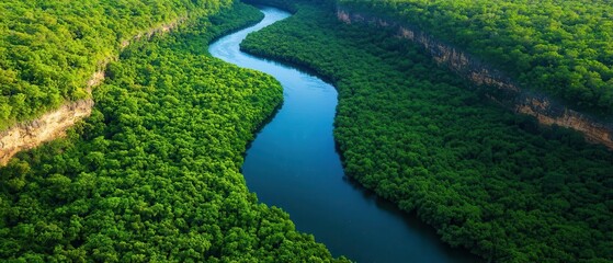 Aerial view of a winding river surrounded by lush green forest, showcasing the beauty of nature and the serenity of the environment.