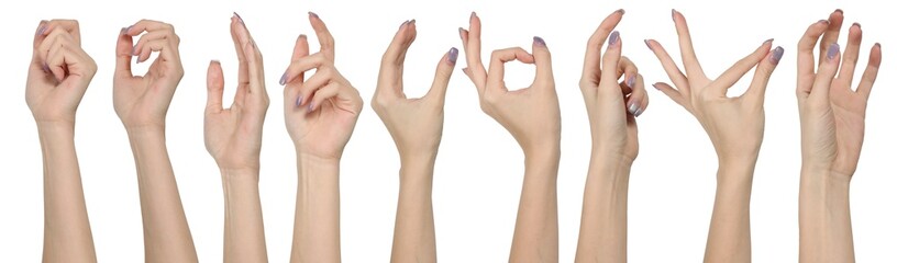 Set of woman hands showing different gestures, pointing and showing signs isolated on white...