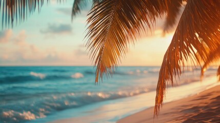 Fototapeta premium Beach with palm trees with vibrant lighting, peaceful ocean scene.