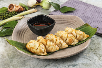 Japanese cuisine - stuffed dumplings gyoza