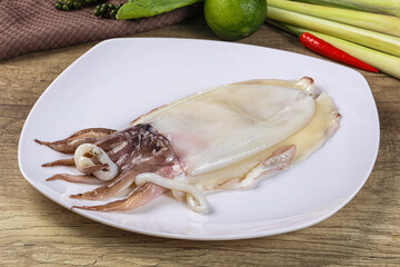 Raw fresh cuttlefish for cooking