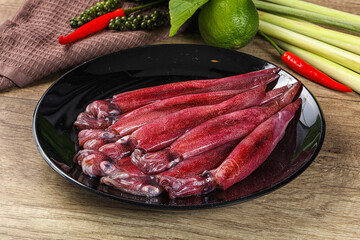 Raw fresh squids for cooking