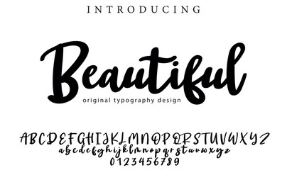 Beautiful Font Stylish brush painted an uppercase vector letters, alphabet, typeface